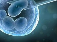 2026年山东菏泽试管医院费用成功率一览