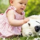 泰国试管双胎多少钱，比单胎贵多少