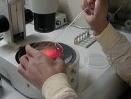 济南省中医试管婴儿成功率高不高？哪些人成功率高？