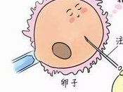 小三阳OR大三阳乙肝患者能做试管婴儿吗？