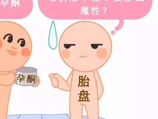 胚胎移植前有什么准备工作？这几大事项需要留意！